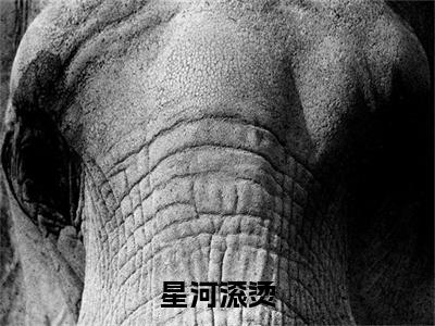 尹晚沈清珂沈清铭全文免费阅读无弹窗大结局_（星河滚烫小说）尹晚沈清珂沈清铭最新章节列表笔趣阁（星河滚烫）