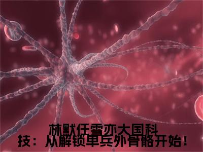 大国科技：从解锁单兵外骨骼开始！全文免费阅读-（ 林默任雪亦）小说全文免费阅读正版无弹窗