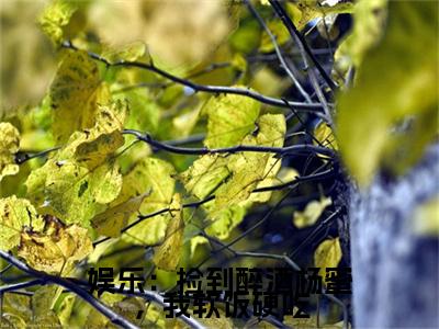 娱乐：捡到醉酒杨蜜，我软饭硬吃（李强免费阅读无弹窗）李强最新章节列表_笔趣阁