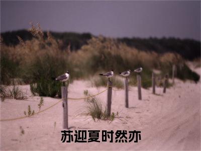 苏迎夏时然亦全文免费阅读无弹窗大结局-时然亦苏迎夏无弹窗阅读