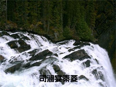 秦菱司澜宴今日更新最新章节 司澜宴秦菱在线阅读