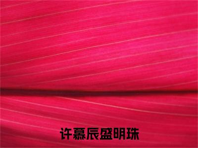 许慕辰盛明珠(盛明珠许慕辰)全文免费阅读无弹窗大结局_(盛明珠许慕辰)许慕辰盛明珠免费阅读无弹窗最新章节列表_笔趣阁(许慕辰盛明珠)