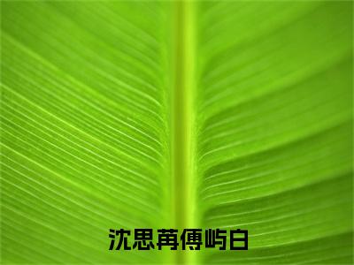 傅屿白沈思苒（傅屿白沈思苒）全文免费阅读_傅屿白沈思苒（沈思苒傅屿白）最新章节列表笔趣阁