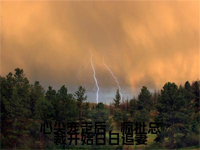 顾行州苏颐(心尖宠走后,疯批总裁开始日日追妻)全文免费阅读无弹窗大结局_顾行州苏颐(心尖宠走后,疯批总裁开始日日追妻小说免费阅读)_笔趣阁