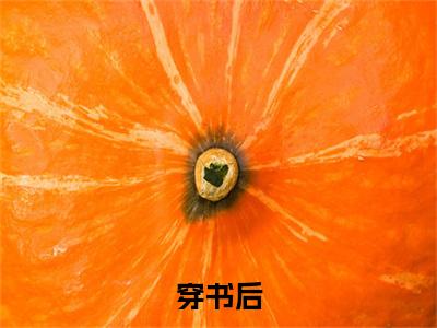  秦锐小宝小说免费阅读-穿书后，我靠空间在七零致富完整版全文大结局