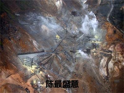 （陈最盛意）最新免费小说大结局-小说陈最盛意盛意陈最全文免费在线阅读