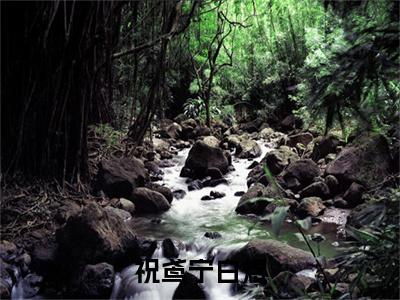 白煜祝鸢宁（祝鸢宁白煜）全文免费阅读无弹窗大结局_祝鸢宁白煜最新章节列表_笔趣阁（白煜祝鸢宁）