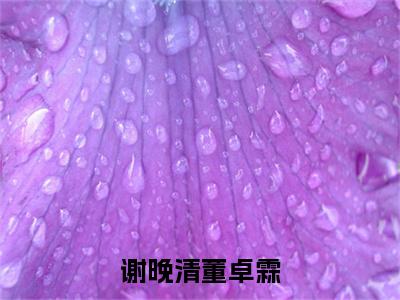谢晚清董卓霖热文小说全文阅读-精彩美文董卓霖谢晚清免费阅读