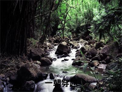  舒嫣然周云全文免费阅读大结局-一朝穿越，开局成为舔狗男配结局免费阅读