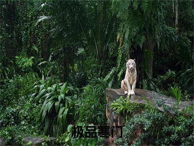 极品寒门（陈凡）全文免费阅读无弹窗-（极品寒门）陈凡小说全文在线赏析