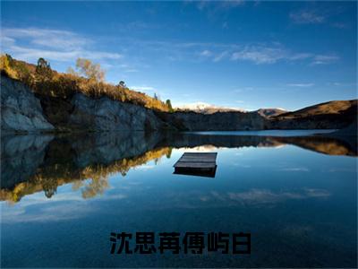 沈思苒傅屿白（傅屿白沈思苒）全文免费阅读无弹窗大结局_傅屿白沈思苒_笔趣阁