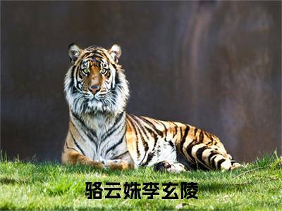 骆云姝李玄陵（李玄陵骆云姝）全文免费大结局小说-骆云姝李玄陵全文最新章节阅读