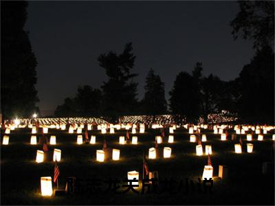 权途天骄（ 陈志龙关成龙小说）全文免费阅读无弹窗大结局_权途天骄最新章节列表笔趣阁（ 陈志龙关成龙）