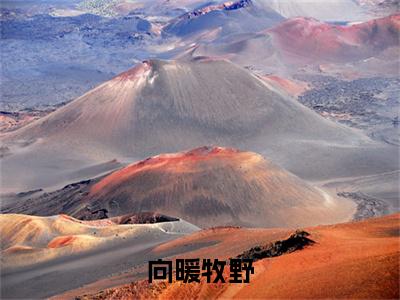 牧野向暖小说(向暖牧野)完整版小说阅读_牧野向暖全本列表免费笔趣阁