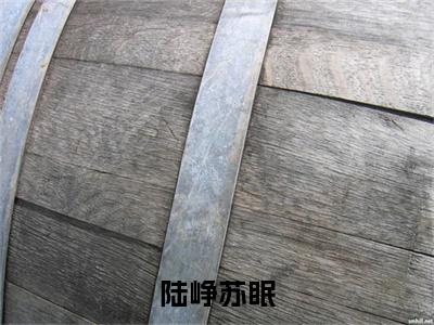 陆峥苏眠全文（苏眠陆峥）抖音热推小说全集无删减_苏眠陆峥免费最新章节列表_笔趣阁