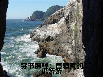 穿书锦鲤:首辅家的小娇娇(林玥陆淮)全文免费阅读无弹窗大结局_穿书锦鲤:首辅家的小娇娇免费阅读无弹窗最新章节列表_笔趣阁