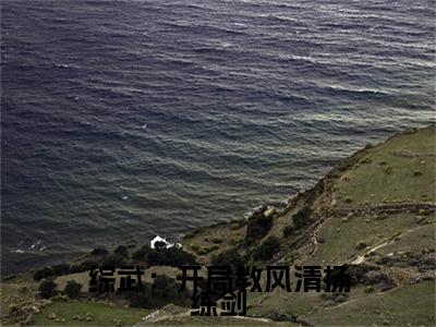 综武：开局教风清扬练剑是什么小说，综武：开局教风清扬练剑（风清扬）完整章节在线阅读