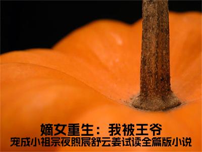 热门小说 夜煦宸舒云姜嫡女重生：我被王爷宠成小祖宗夜煦宸舒云姜试读全篇版全文免费阅读无弹窗大结局- 夜煦宸舒云姜全文无弹窗免费阅读大结局