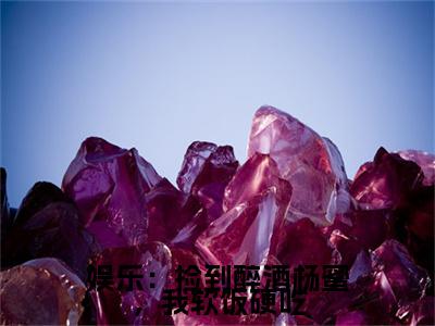 李强（娱乐：捡到醉酒杨蜜，我软饭硬吃）全文免费阅读无弹窗大结局_李强全文免费阅读（娱乐：捡到醉酒杨蜜，我软饭硬吃）最新章节列表_笔趣阁（李强）