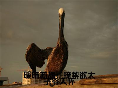 暧昧苏甜：撩禁欲太子爷入怀孟洛柠靳沉寒小说全文免费阅读无弹窗大结局_(孟洛柠靳沉寒)暧昧苏甜：撩禁欲太子爷入怀最新章节列表笔趣阁（暧昧苏甜：撩禁欲太子爷入怀）