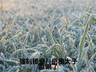 强制锁爱！京圈太子急眼了全文免费阅读全文免费阅读无弹窗大结局_苏语鹿薄司寒全文免费阅读_笔趣阁