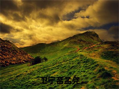 孟尧卫宁茗小说全文免费阅读_卫宁茗孟尧（孟尧卫宁茗）最新章节列表笔趣阁