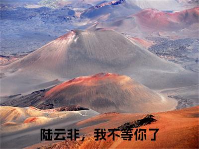 苏陌念陆云菲（陆云非，我不等你了）小说免费在线阅读_苏陌念陆云菲全本免费小说阅读大结局（陆云非，我不等你了）