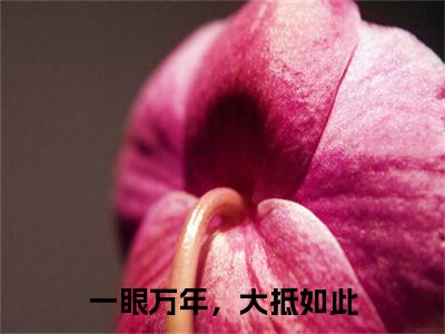 小说(一眼万年，大抵如此)全文免费阅读_(慕川青姬)小说全文免费阅读