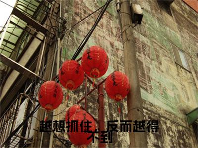越想抓住，反而越得不到（景墨轩冷清歌）全文免费阅读无弹窗_景墨轩冷清歌最新小说_笔趣阁