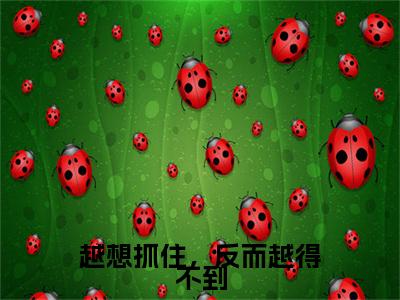 越想抓住，反而越得不到（景墨轩冷清歌）全文无弹窗阅读-越想抓住，反而越得不到（景墨轩冷清歌）最新章节完整版阅读