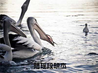 重生七零，我把糙汉老公拿下了( 陆瑶段明杰)抖音热推小说全集无删减_( 陆瑶段明杰免费阅读全文大结局)最新章节列表_笔趣阁
