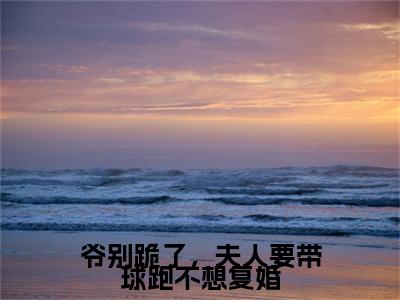 颜落龙桀（爷别跪了，夫人要带球跑不想复婚）小说在线阅读-最新小说爷别跪了，夫人要带球跑不想复婚（颜落龙桀）全文阅读