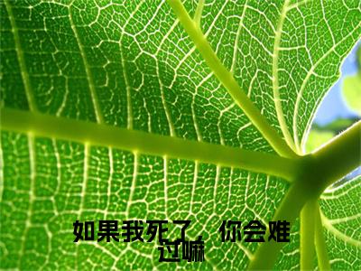 如果我死了，你会难过嘛（霍浩川迟简全章节完整版）免费阅读-如果我死了，你会难过嘛全文无删减阅读