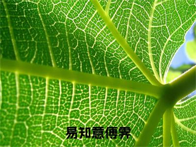 易知意傅霁全文免费阅读大结局_易知意傅霁(傅霁易知意)完整版在线赏析