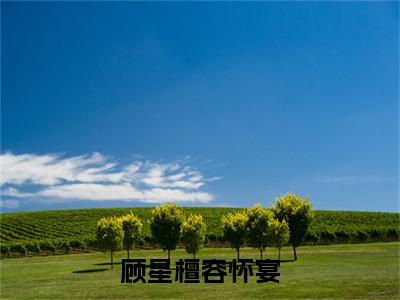 顾星檀容怀宴(容怀宴顾星檀)免费全文阅读小说_顾星檀容怀宴最新章节列表-笔趣阁（容怀宴顾星檀）