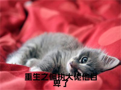 许诺池墨（重生之偏执大佬他自卑了）全文免费阅读无弹窗大结局_重生之偏执大佬他自卑了完整版小说阅读（许诺池墨）