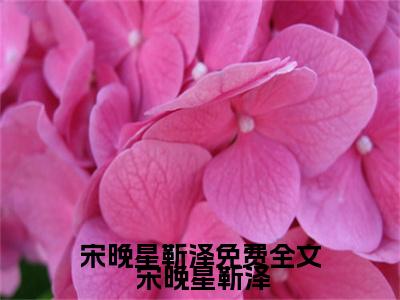 宋晚星靳泽免费全文全文免费阅读无弹窗大结局_（ 宋晚星靳泽） 宋晚星靳泽最新章节列表_笔趣阁