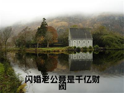 闪婚老公竟是千亿财阀小说（林烟陆沉渊）全文免费阅读无弹窗大结局_（林烟陆沉渊）闪婚老公竟是千亿财阀最新章节列表（林烟陆沉渊）