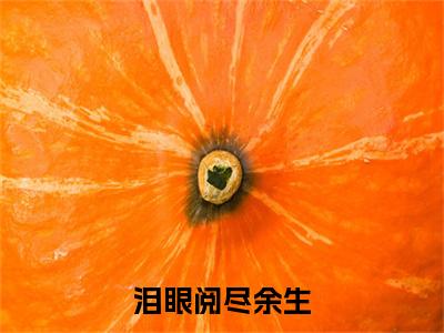 泪眼阅尽余生（苏心颐陆时许）全文免费阅读_泪眼阅尽余生最新章节列表言情小说在线阅读