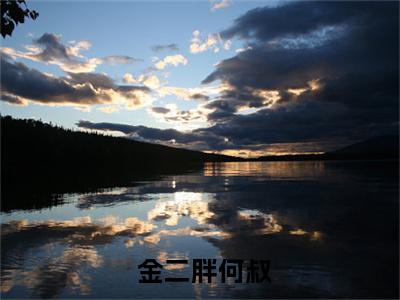 少年游小说（ 金二胖何叔）全文完整版免费阅读- 金二胖何叔全文完整版免费阅读（ 金二胖何叔）