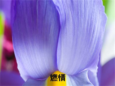 燃情精彩小说赏析全文 唐淼苏韵热门小说免费阅读