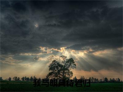 我与明月待君归全文免费阅读_苏长清苍澜（我与明月待君归）小说在线阅读最新章节列表笔趣阁