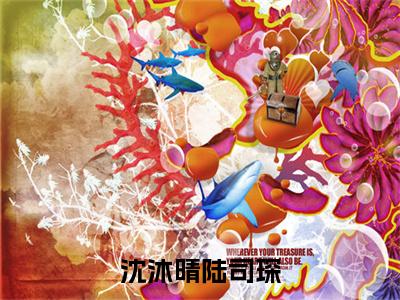 陆司琛沈沐晴精选热门小说 沈沐晴陆司琛已完结全集大结局