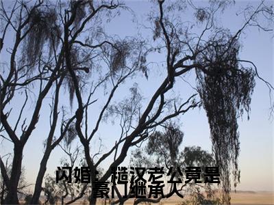 闪婚：糙汉老公竟是豪门继承人热门的小说 赵修文叶暖最新更新闪婚：糙汉老公竟是豪门继承人-闪婚：糙汉老公竟是豪门继承人无删减版