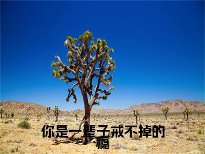 你是一辈子戒不掉的瘾(温若汐祁宴临)全文免费阅读无弹窗大结局_(你是一辈子戒不掉的瘾免费阅读全文大结局)最新章节列表_笔趣阁（温若汐祁宴临）