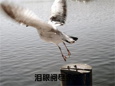 泪眼阅尽余生苏心颐陆时许抖音热推新书小说全文阅读 （苏心颐陆时许）全文免费阅读大结局