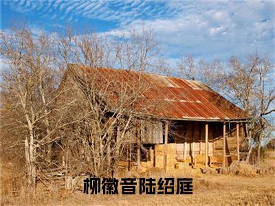 柳徽音陆绍庭全文免费阅读 陆绍庭柳徽音章节免费阅读