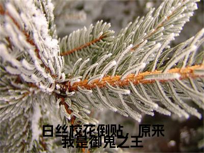 白丝校花倒贴，原来我是御鬼之王(许铭）小说全文免费阅读无弹窗大结局_许铭全文免费阅读