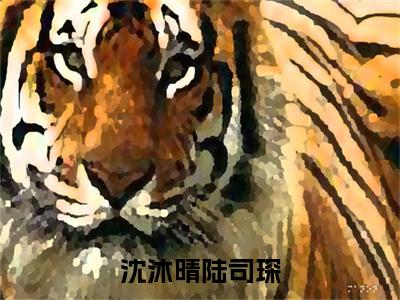 陆司琛沈沐晴在线阅读（沈沐晴陆司琛）全文免费阅读_沈沐晴陆司琛最新章节列表_笔趣阁