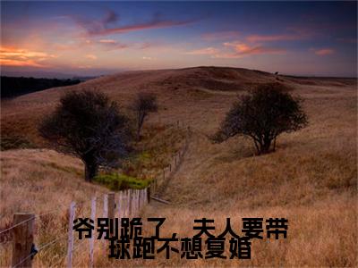 颜落龙桀全文免费阅读大结局 爷别跪了，夫人要带球跑不想复婚最新章节列表